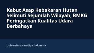 Kabut Asap Kebakaran Hutan Selimuti Sejumlah Wilayah, BMKG Peringatkan Kualitas Udara Berbahaya