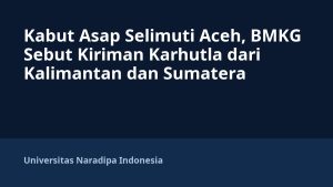 Kabut Asap Selimuti Aceh, BMKG Sebut Kiriman Karhutla dari Kalimantan dan Sumatera