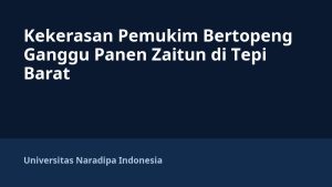 Kekerasan Pemukim Bertopeng Ganggu Panen Zaitun di Tepi Barat