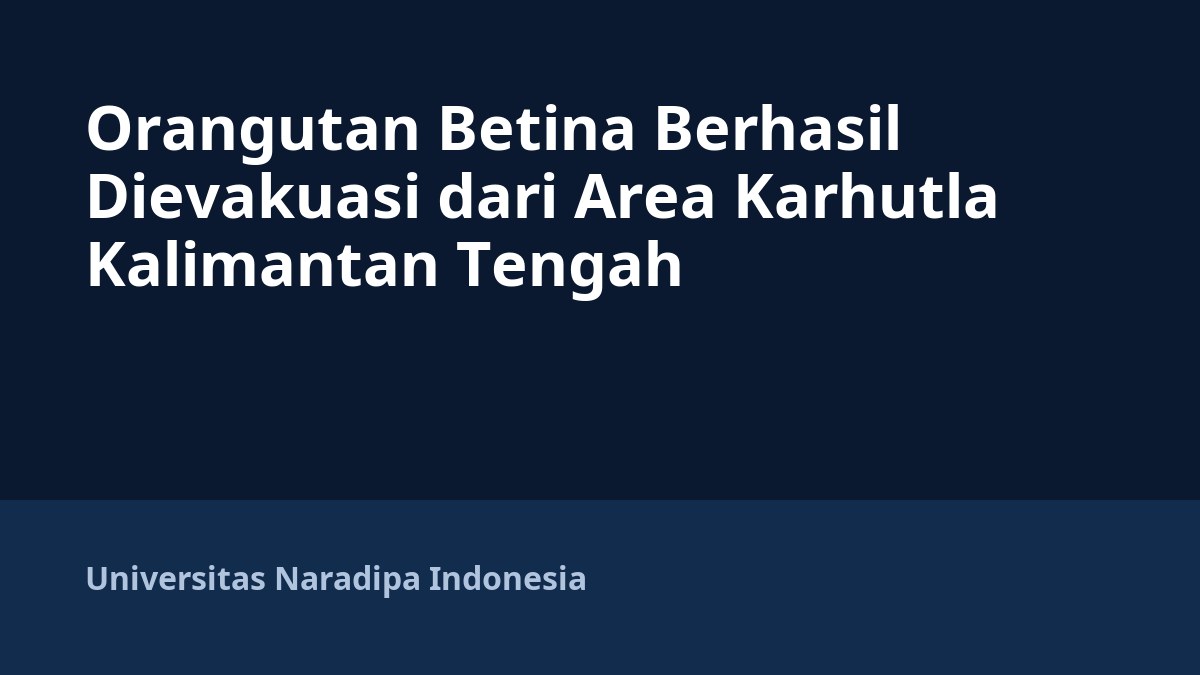 Orangutan Betina Berhasil Dievakuasi dari Area Karhutla Kalimantan Tengah