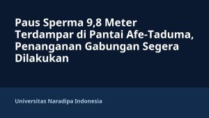 Paus Sperma 9,8 Meter Terdampar di Pantai Afe-Taduma, Penanganan Gabungan Segera Dilakukan