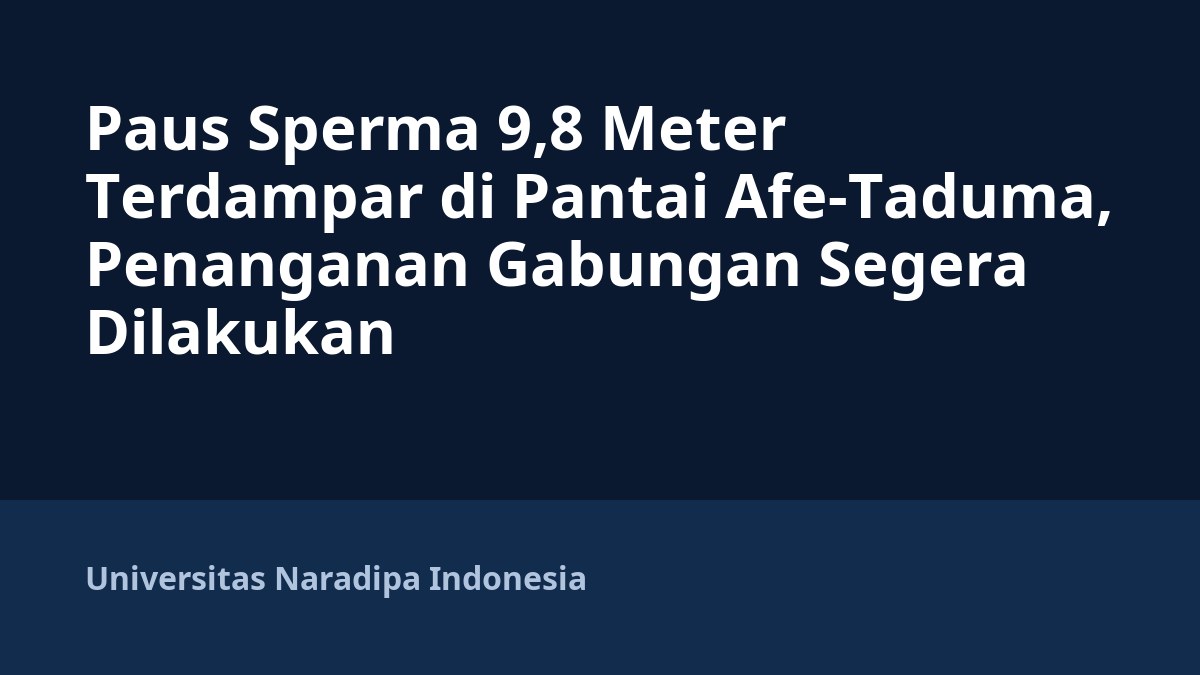 Paus Sperma 9,8 Meter Terdampar di Pantai Afe-Taduma, Penanganan Gabungan Segera Dilakukan