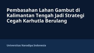 Pembasahan Lahan Gambut di Kalimantan Tengah Jadi Strategi Cegah Karhutla Berulang